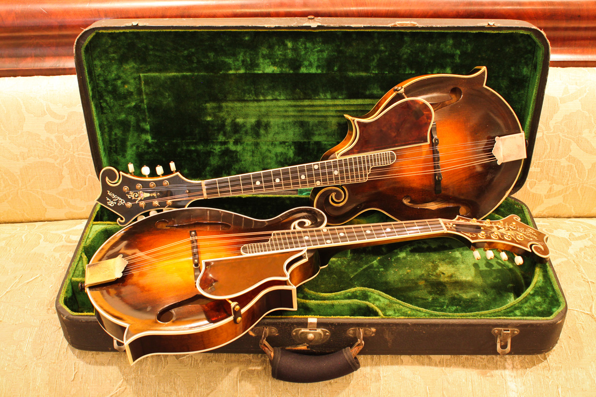 Mandolin Brothers Guitar Shop NY Google Business View